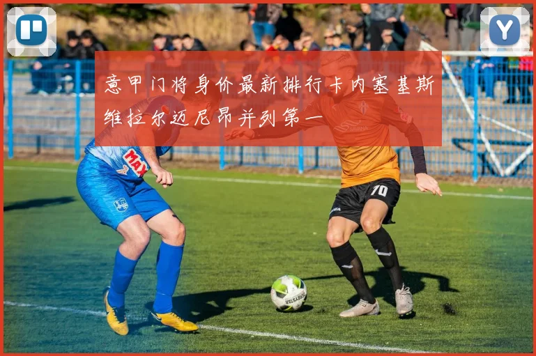 意甲门将身价最新排行卡内塞基斯维拉尔迈尼昂并列第一